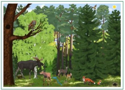 Dabas stāstu veidošana