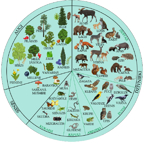 Dzīvās dabas klases